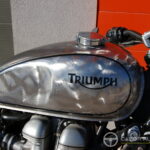 Triumph Bonneville / GoodWood Spirit by Thomis Motorcycles ( Srambler look )