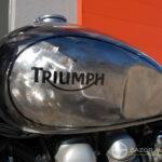 Triumph Bonneville / GoodWood Spirit by Thomis Motorcycles ( Srambler look )