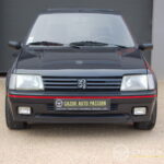 Peugeot 205 1.9 GTI